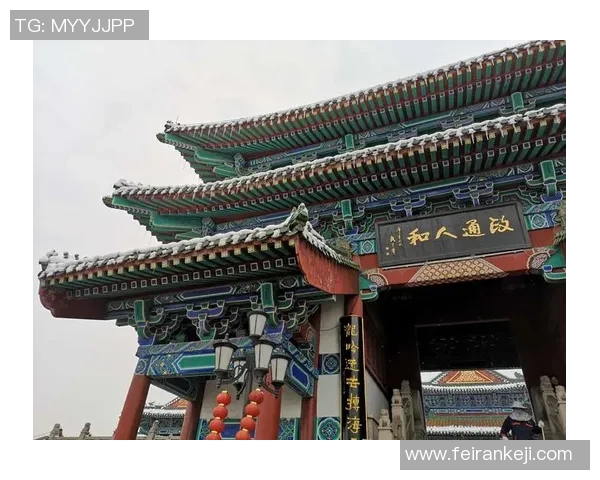 南京排球队在洲际杯中的团队协作表现值得称赞与反思